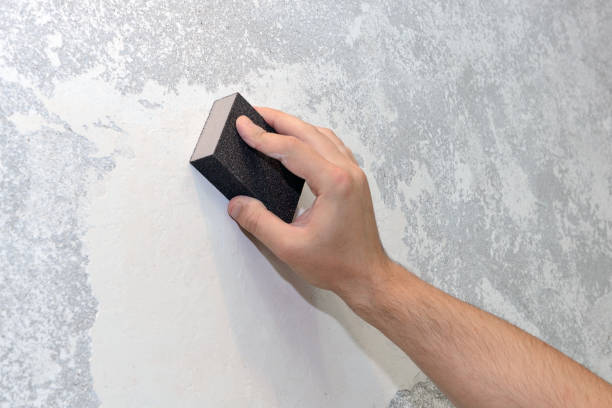 Best Dehumidification Services  in Oakridge, OR