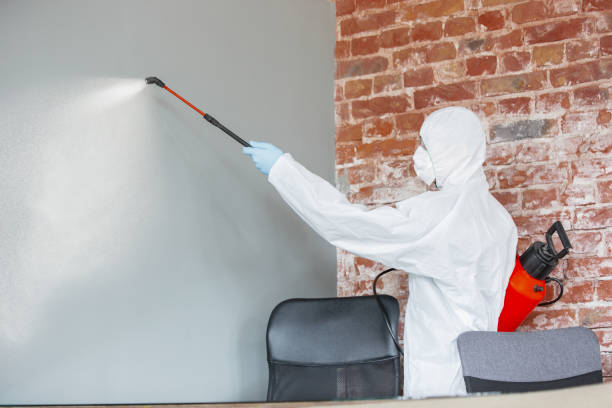 Best Air Quality Testing for Mold Spores  in Oakridge, OR