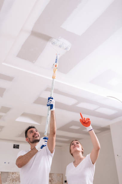 Environmental Consulting for Mold Prevention in Oakridge, OR