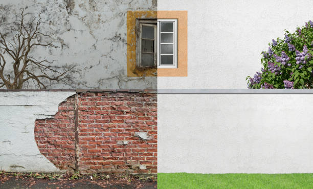 Mold Odor Removal Services in Oakridge, OR