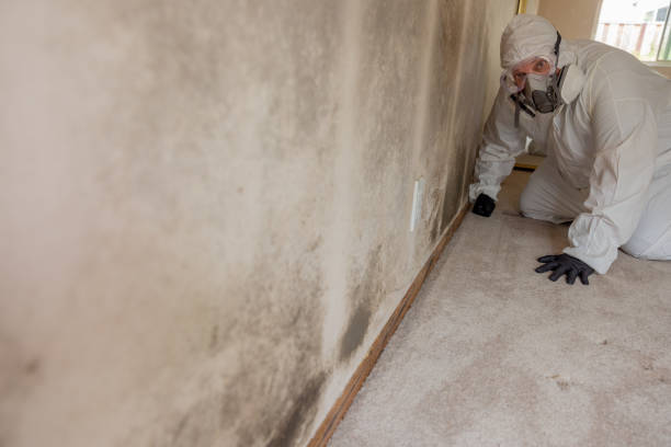 Best Asbestos and Lead Testing During Mold Inspection  in Oakridge, OR